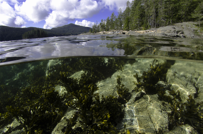 Waiatt Bay, Quadra Island