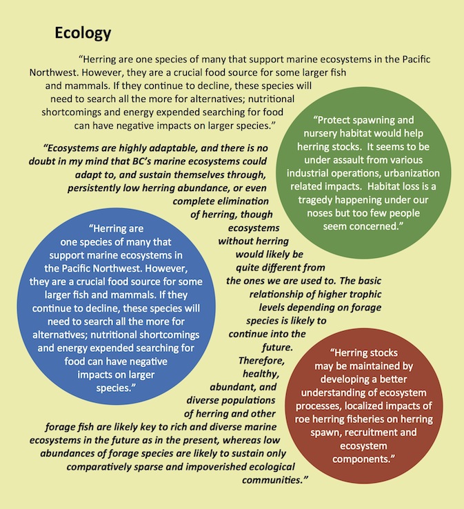 Views on Ecology